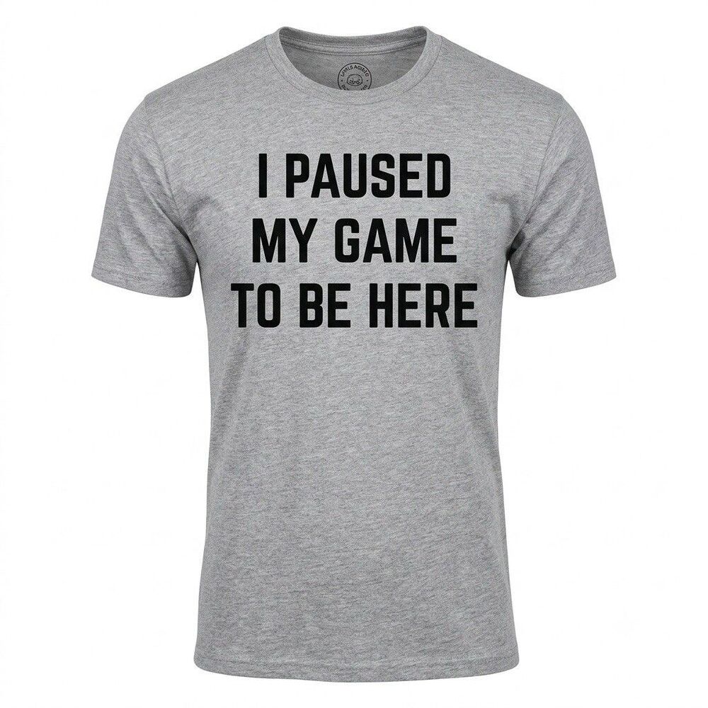 Ann Arbor T-Shirt Company "I Paused My Game To Be Here" Gray Graphic Tee Size L